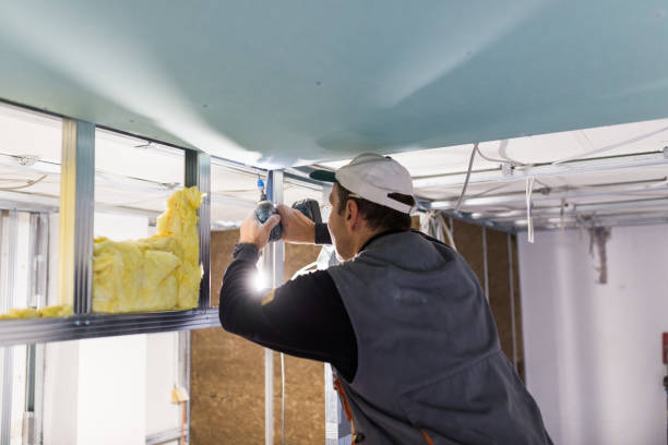 Best Insulation Contractor Near Me  in Mount Vernon, AL
