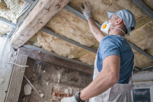 Reliable Mount Vernon, AL Insulation Contractor Solutions