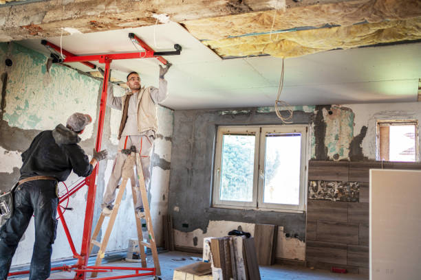 Best Crawl Space Insulation  in Mount Vernon, AL