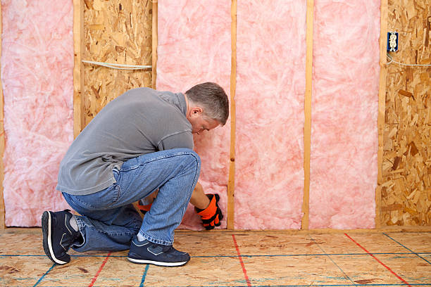 Best Local Insulation Services  in Mount Vernon, AL