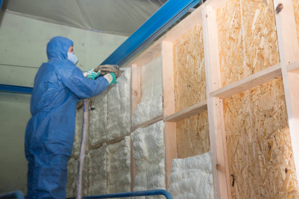 Best Home Insulation Services  in Mount Vernon, AL