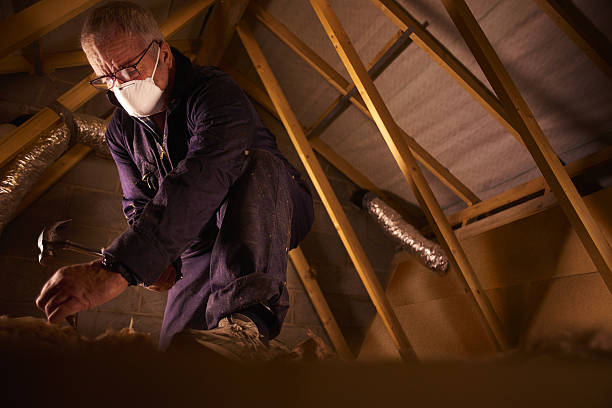 Best Insulation for New Construction  in Mount Vernon, AL