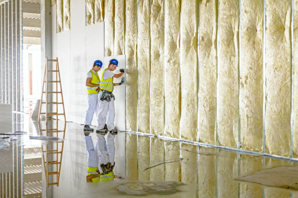 Best Professional Insulation Contractor  in Mount Vernon, AL